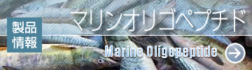 banner-Marine02