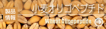 ［製品情報］小麦オリゴペプチド